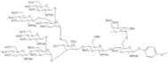 4-Methoxyphenyl 4-O-{4-O-[[2-O-Ac-3-O-[2,4-di-O-(3,4,6-tri-O-Ac-2-PhthN-b-D-Glc)-3,6-di-O-Bn-a-D-M…