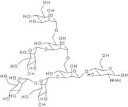 Man6GlcNAc (I)