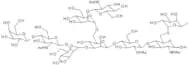 G-NGA2F N-Glycan