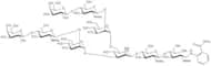 NA2 Glycan, 2-AB labelled