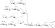 NA4 Glycan, 2-AB labelled