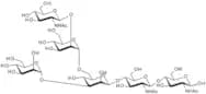 NGA1 N-Glycan