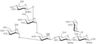 NGA1F N-Glycan
