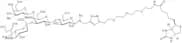 GM2-Oligosaccharide-sp-biotin