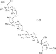 Stachyose hydrate - 80%