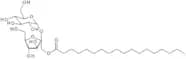 Sucrose stearate - 70% monostearate