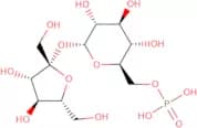 Sucrose-6-phosphate sodium