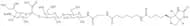 3'-Sialyllactose-sp-biotin