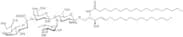 Sialyl Lewis X ceramide