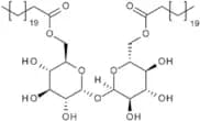 Trehalose-6,6'-dibehenate
