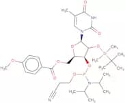 5'-O-p-Anisoyl-2'-O-tert-butyldimethylsilyl-5-methyluridine 3'-CE phosphoramidite