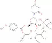 5'-O-p-Anisoyl-2'-O-tert-butyldimethylsilyluridine 3'-CE phosphoramidite