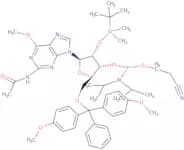 N-Acetyl-2'-O-[(tert-butyl)dimethylsilyl]-5'-O-DMT-6'-O-methylguanosine-3'-CE phosphoramidite