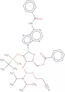 N6-Benzoyl-5'-O-benzoyl-2'-O-tert-butyldimethylsilyladenosine 3'-CE phosphoramidite