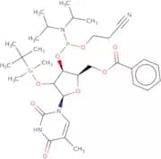 5'-O-Benzoyl-2'-O-tert-butyldimethylsilylthymidine 3'-CE phosphoramidite