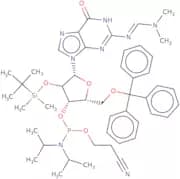 2'-O-tert-Butyldimethylsilyl-N2-DMF-5'-O-tritylguanosine 3'-CE phosphoramidite