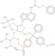 2'-O-tert-Butyldimethylsilyl-5'-O-DMT-N6-phenoxyacetyladenosine 3'-CE phosphoramidite