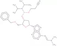 5'-O-Benzyl-2'-deoxy-N6-DMF-adenosine 3'-CE phosphoramidite
