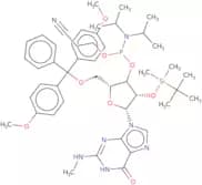 2'-O-tert-Butyldimethylsilyl-5'-O-DMT-N2-methylguanosine 3'-CE phosphoramidite