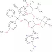 2'-O-tert-Butyldimethylsilyl-5'-O-DMT-N6-methyladenosine 3'-CE phosphoramidite