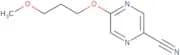 5-(3-Methoxypropoxy)pyrazine-2-carbonitrile