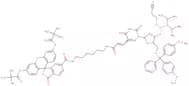 Fluorescein-dt cep