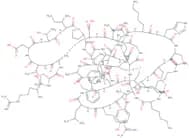 Stichodactyla Toxin