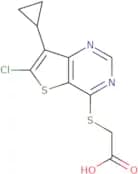 LP 922056