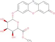 RUG ®, Resorufin-β-D-glucuronic acid methyl ester, Biosynth Patent: EP 2718458 and US 9127303