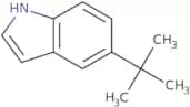 5-tert-Butyl-1H-indole