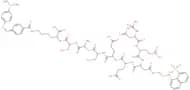 Ac-Asp-Glu-Asp(Edans)-Glu-Glu-Abu-L-Lactoyl-Ser-Lys(Dabcyl)-NH2