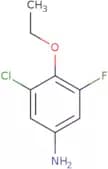 3-Chloro-4-ethoxy-5-fluoroaniline