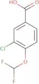 3-chloro-4-(difluoromethoxy)benzoic acid