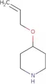 4-(Prop-2-en-1-yloxy)piperidine