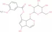 10-o-Vanilloylaucubin