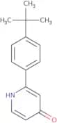 2-(4-tert-Butylphenyl)pyridin-4(1H)-one
