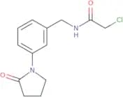 2-Chloro-N-{[3-(2-oxopyrrolidin-1-yl)phenyl]methyl}acetamide