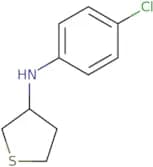 N-(4-Chlorophenyl)thiolan-3-amine