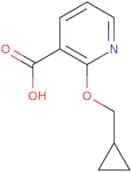 2-(Cyclopropylmethoxy)pyridine-3-carboxylic acid