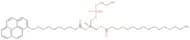 β-Py-c10-HPE