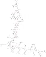 D-JNKI-1