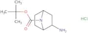 tert-Butyl rac-(1S,2R,4R)-2-amino-7-azabicyclo[2.2.1]heptane-7-carboxylate hydrochloride