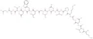 Rac1 Inhibitor W56