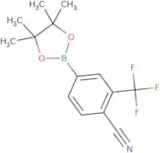 4-(4,4,5,5-Tetramethyl-1,3,2-dioxaborolan-2-yl)-2-(trifluoromethyl)benzonitrile