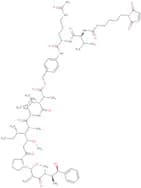 VcMMAE