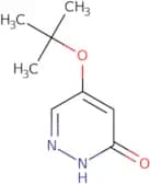 5-(tert-Butoxy)pyridazin-3(2H)-one