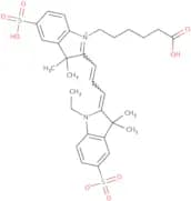 CY3