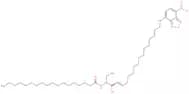 NBD 18:0 ceramide