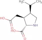 Dihydrokainic acid