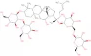 Ginsenoside Rb1 - 94%